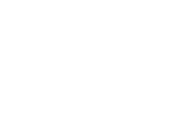 Logo BNI