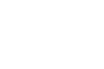 BNI Securities