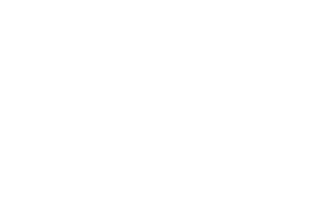 IdClear BEI