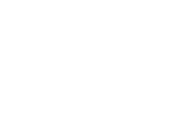 Ksei Logo
